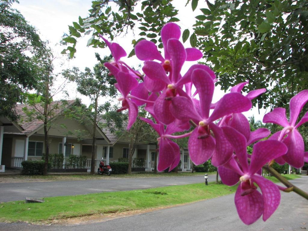 Krabi Flora Hotel ภายนอก รูปภาพ